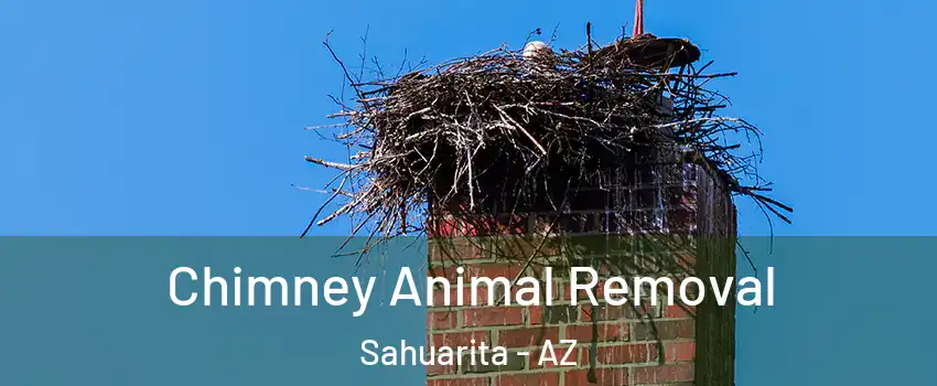 Chimney Animal Removal Sahuarita - AZ