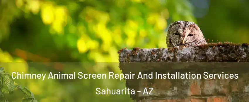  Chimney Animal Screen Repair And Installation Services Sahuarita - AZ