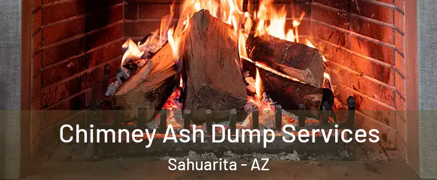  Chimney Ash Dump Services Sahuarita - AZ