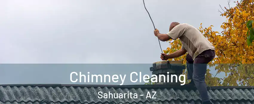 Chimney Cleaning Sahuarita - AZ