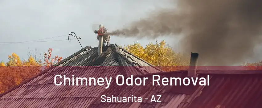  Chimney Odor Removal Sahuarita - AZ