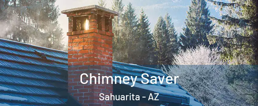  Chimney Saver Sahuarita - AZ