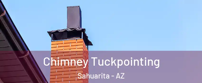  Chimney Tuckpointing Sahuarita - AZ
