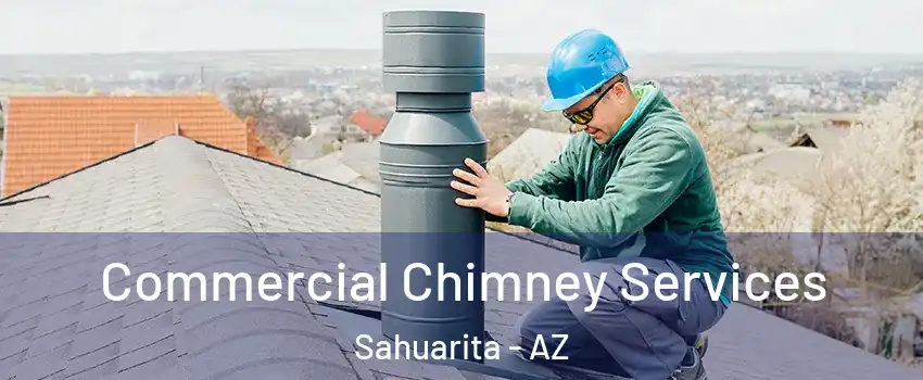  Commercial Chimney Services Sahuarita - AZ