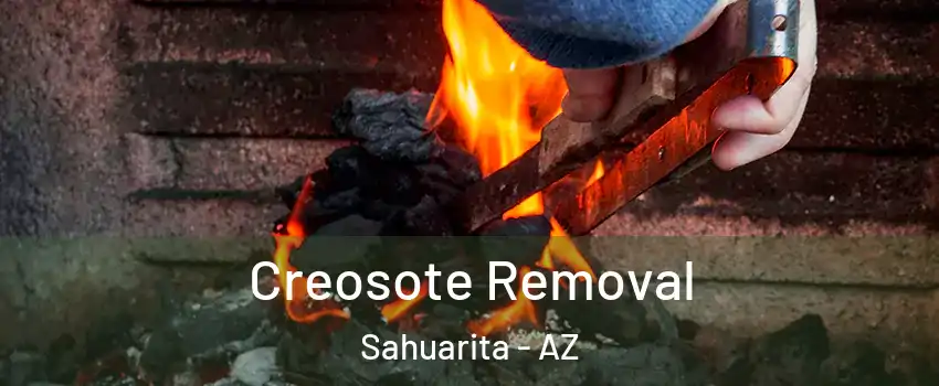  Creosote Removal Sahuarita - AZ