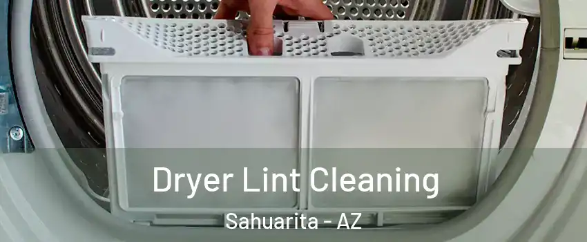  Dryer Lint Cleaning Sahuarita - AZ