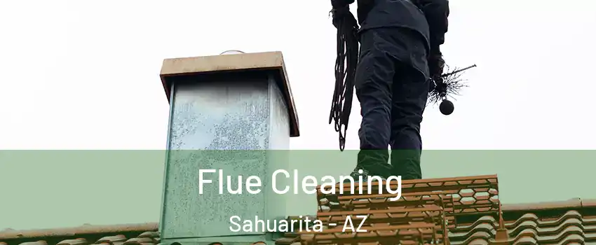  Flue Cleaning Sahuarita - AZ