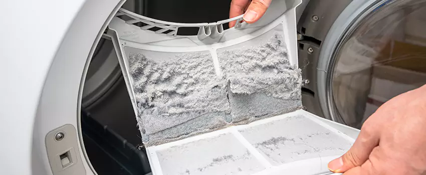 Best Dryer Lint Removal Company in Sahuarita, Arizona