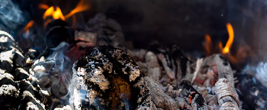 Creosote Removal Experts in Sahuarita, AZ