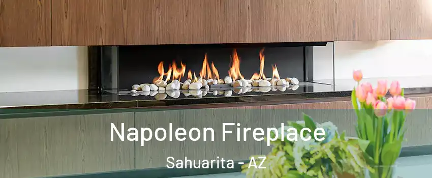  Napoleon Fireplace Sahuarita - AZ